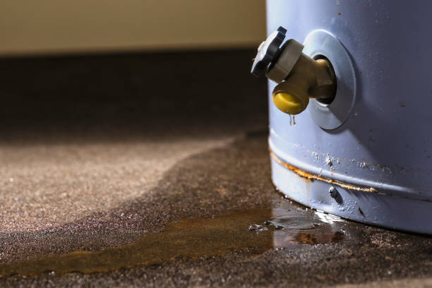 Best Mold removal after water damage  in Harveys Lake, PA