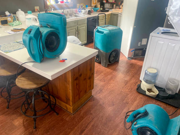 Best 24-hour water damage restoration  in Harveys Lake, PA