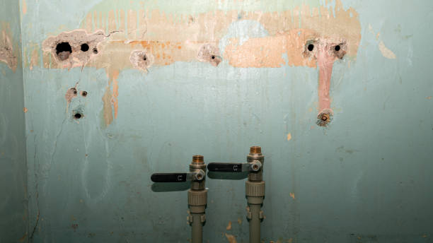 Best Carpet water damage restoration  in Harveys Lake, PA