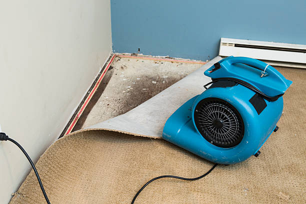 Best Emergency water damage restoration  in Harveys Lake, PA